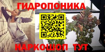 прущие крисы Тулун