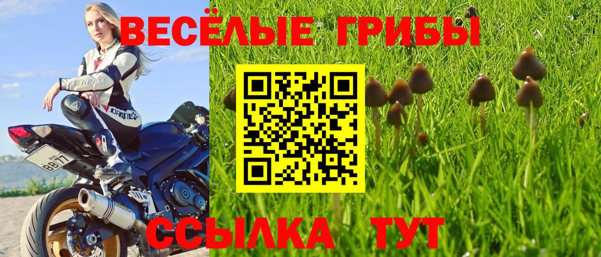 Нефтекумск  Галлюциногенные грибы Magic Shrooms  Вход с VPN 